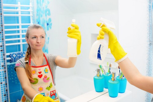 Professional oven cleaning service in Cleaners Surrey