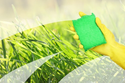 Professional upholstery cleaning in Cleaners Surrey