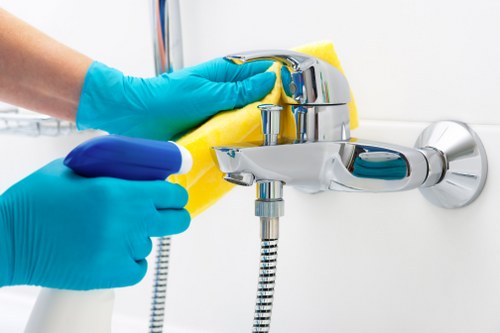 Cleaners Surrey professional facade cleaning service