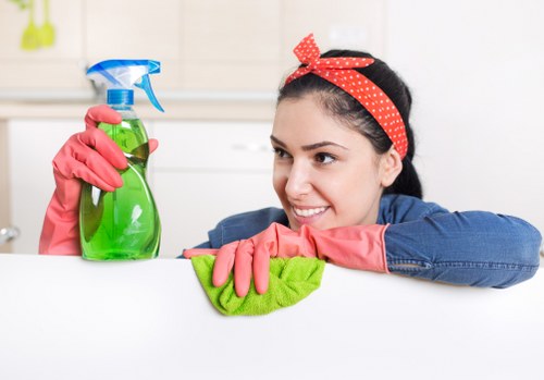 Clean and efficient oven interiors after professional cleaning