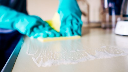 Professional cleaning team at work