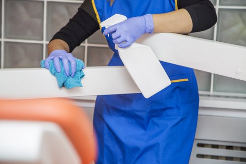 Technician using eco-friendly products for oven cleaning